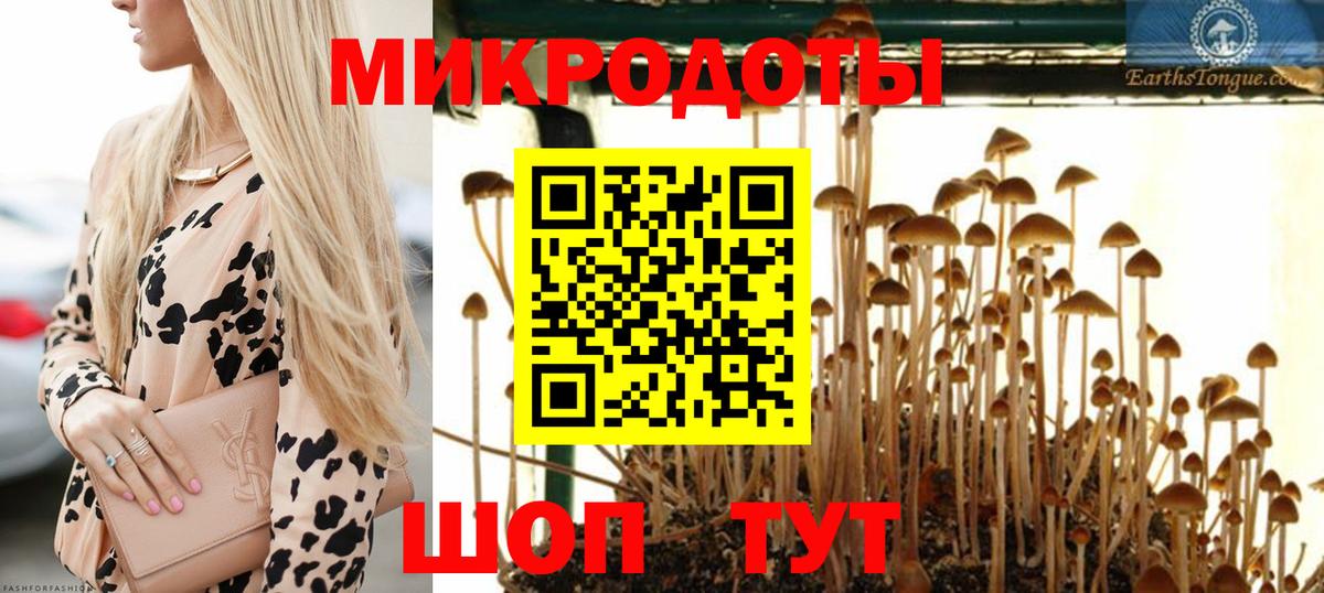 Галлюциногенные грибы мухоморы  Галлюциногенные грибы мухоморы  Вход с VPN  Гусь-Хрустальный 